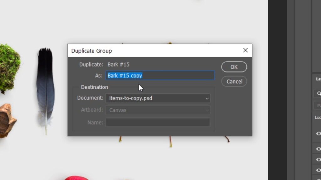 The Duplicate Layer dialog box in Photoshop